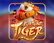 Fortune Tiger